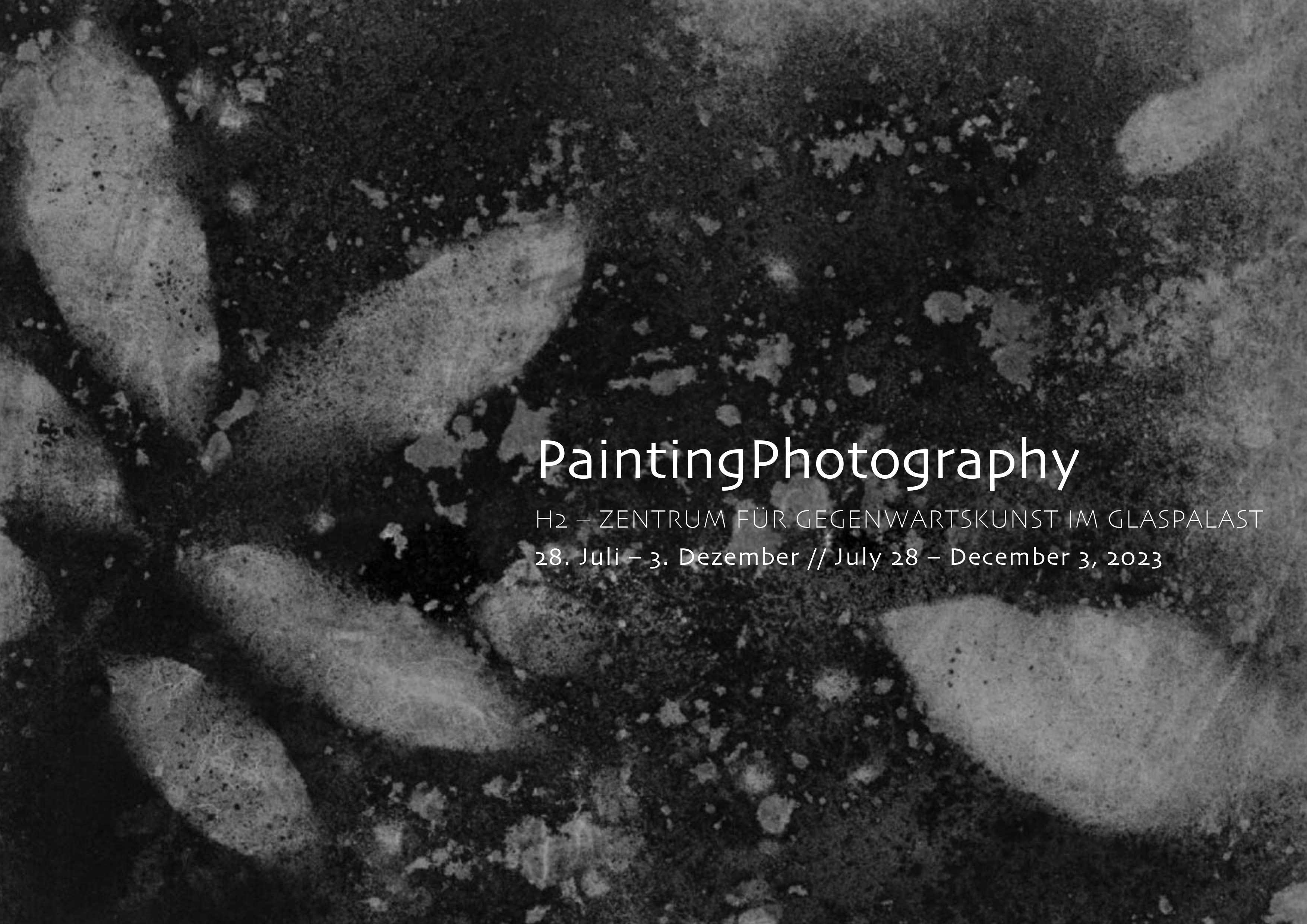 PaintingPhotography